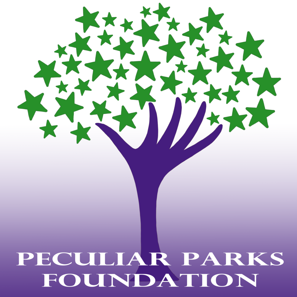 PPF Logo V1 Gradient Square 1024x1024